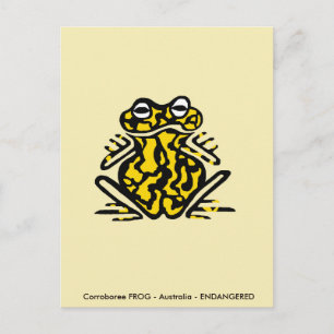 Corroboree FROG - Aussie wildlife -Amphibian - Postcard