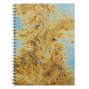 Corroded White Metal: Rust Streaks Texture Notebook