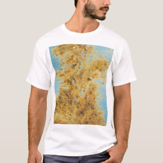 Corroded White Metal: Rust Streaks Texture T-Shirt