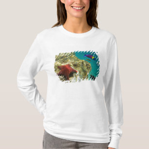 Cortez Rainbow Wrasse male and female and sea T-Shirt
