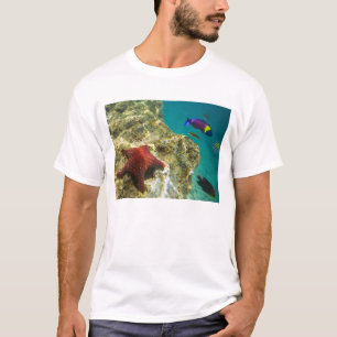 Cortez Rainbow Wrasse male and female and sea T-Shirt
