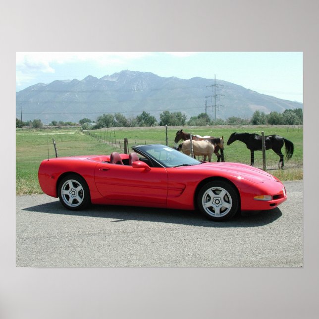 Corvette C5 Convertible Chevrolet Poster (Front)