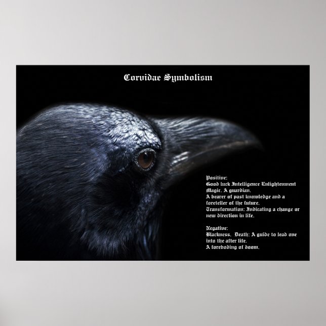 Corvidae Symbolism Poster (Front)