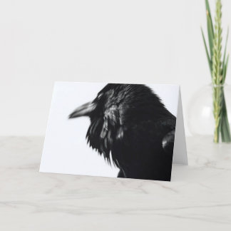 Corvus corax (Common Raven) Card