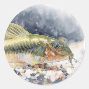 Corydoras green laser catfish fish classic round sticker