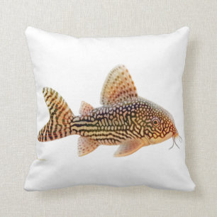 Corydoras Sterbae Catfish Pillow