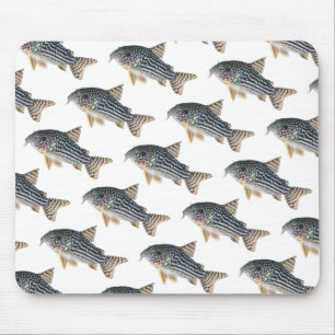 Corydoras sterbaiのマウスパッド,No.03 Mouse Mat