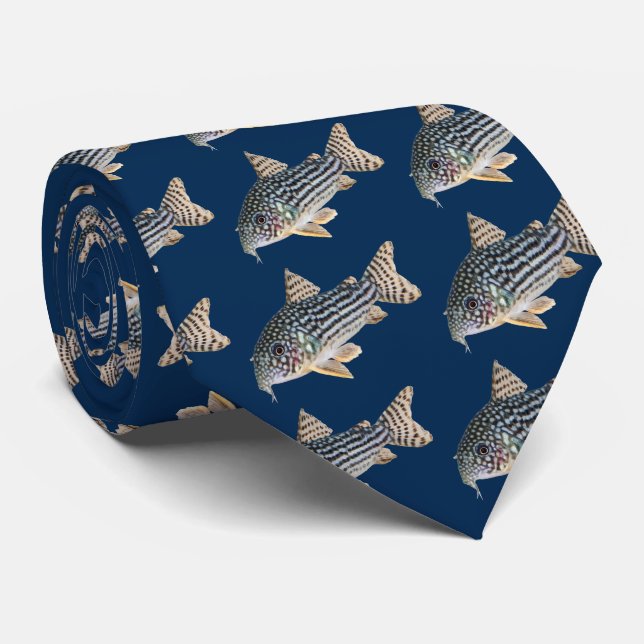 Corydoras sterbai tie (Rolled)