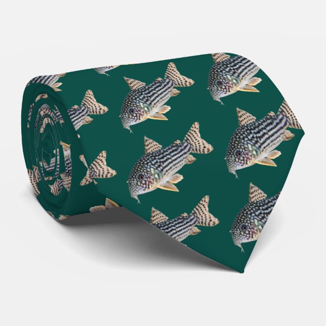 Corydoras sterbai tie (Rolled)