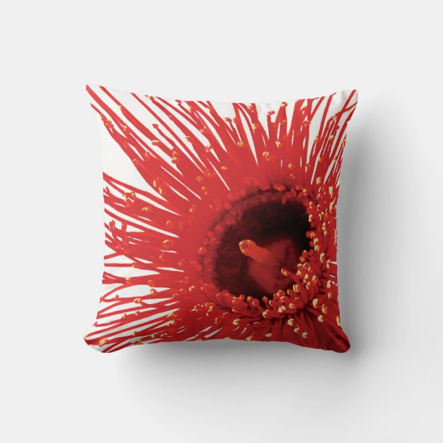 Corymbia ficifolia "Wildfire" photo square pillow (Front)