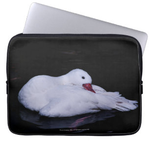 Coscoroba Swan P3442 Laptop Sleeve