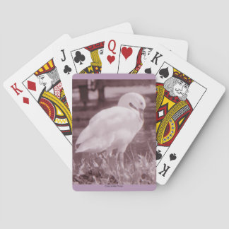 Coscoroba Swan Playing Cards