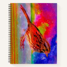 Cosmic Bird Dreamscape Art Print"
