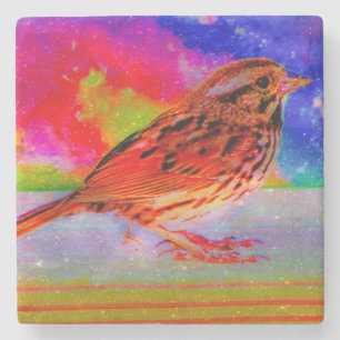 Cosmic Bird Dreamscape Art Print" Stone Coaster