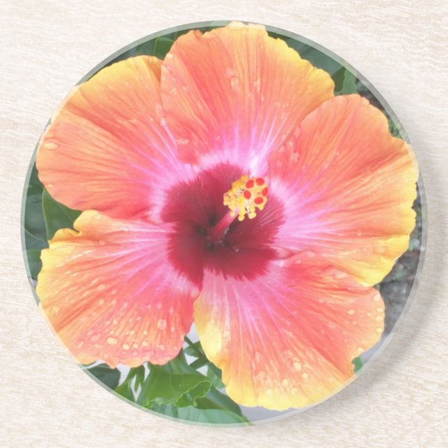 Cosmic Dancer Hibiscus Coaster (Front)
