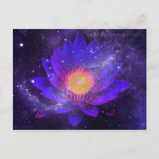 Cosmic Midnight Water Lily Postcard (Front)
