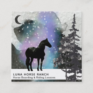 *~* Cosmic Moon Horse Ranch Rainbow Stars Shaman Square Business Card