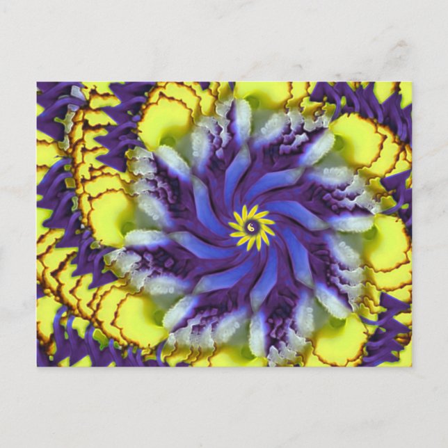 Cosmic Pansy Abstract Postcard (Front)