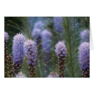 Cosmic Purple Spire Flowers
