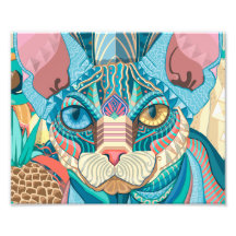 Cosmic Sphynx Cat