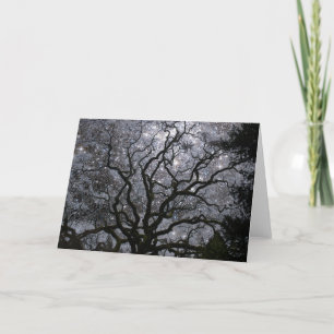 Cosmic Tree - Star Cluster Holiday Card