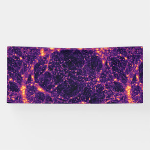 Cosmic Web Banner