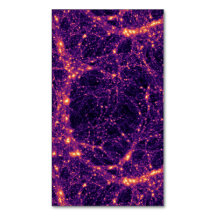 Cosmic Web