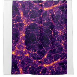 Cosmic Web Shower Curtain