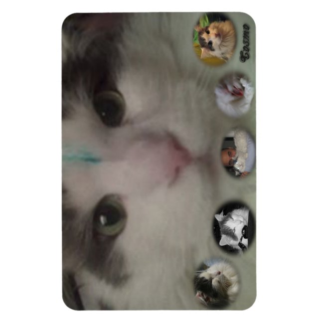 Cosmo Collage photo magnet (Vertical)