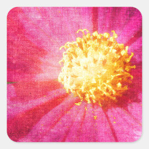 Cosmo Flower Square Sticker
