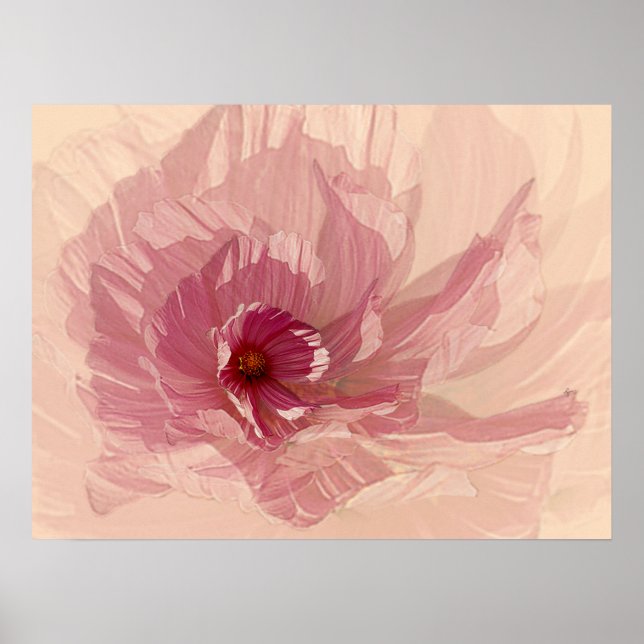 Cosmo Poster (Front)