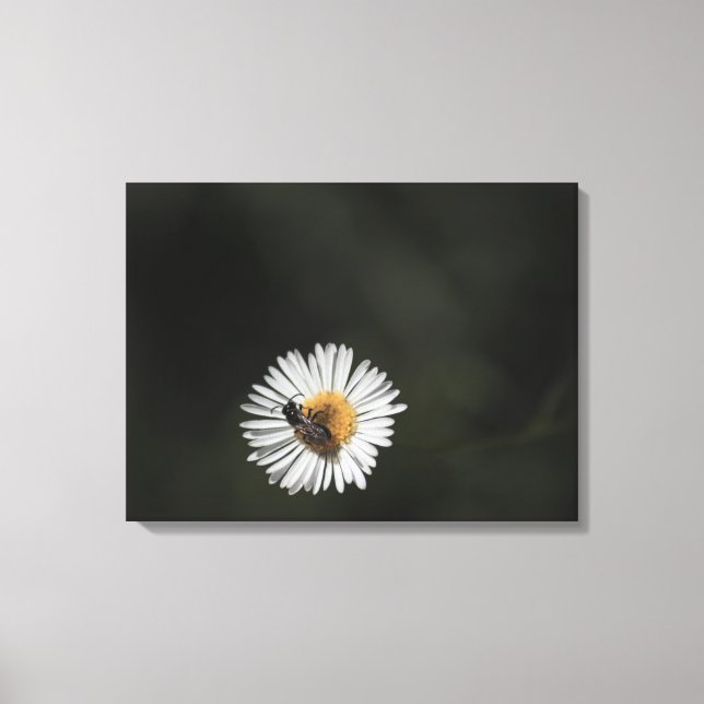 Cosmopolitan Bee Canvas Print (Front)