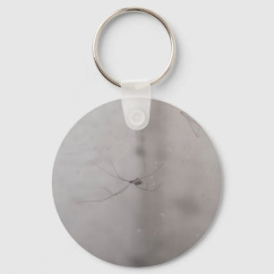 cosmopolitan cellar spider key ring