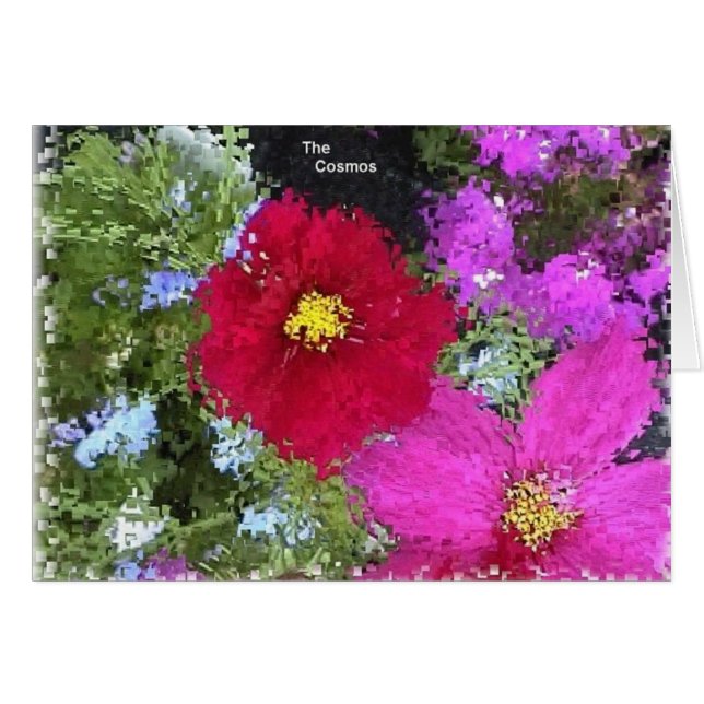 cosmos (Front Horizontal)