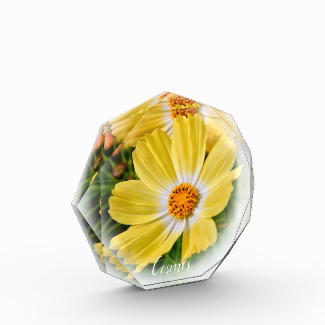 Cosmos フォトブロック photo block (Left)