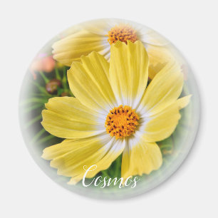 Cosmos マグネット magnet