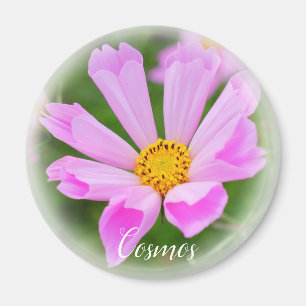 Cosmos マグネット magnet