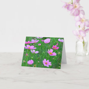 Cosmos bipinnatus Flowers Card
