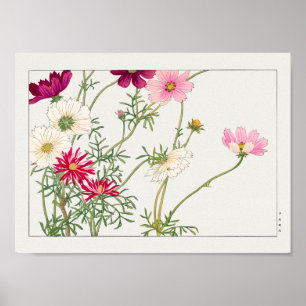 Cosmos by Tanigami Konan Poster