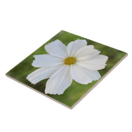 Cosmos Ceramic Tile