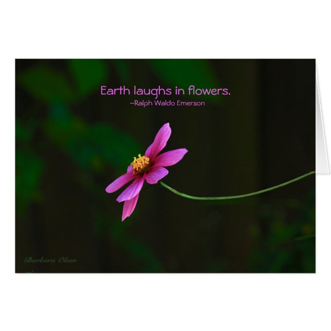 Cosmos:Earth Laughs in Flowers (Front Horizontal)