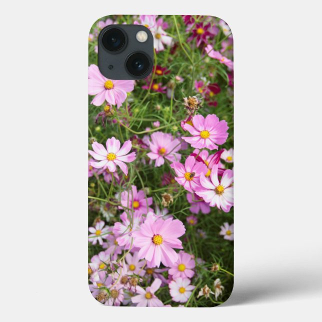 Cosmos Flower (Bidens Formosa). Kirkwood Case-Mate iPhone Case (Back)