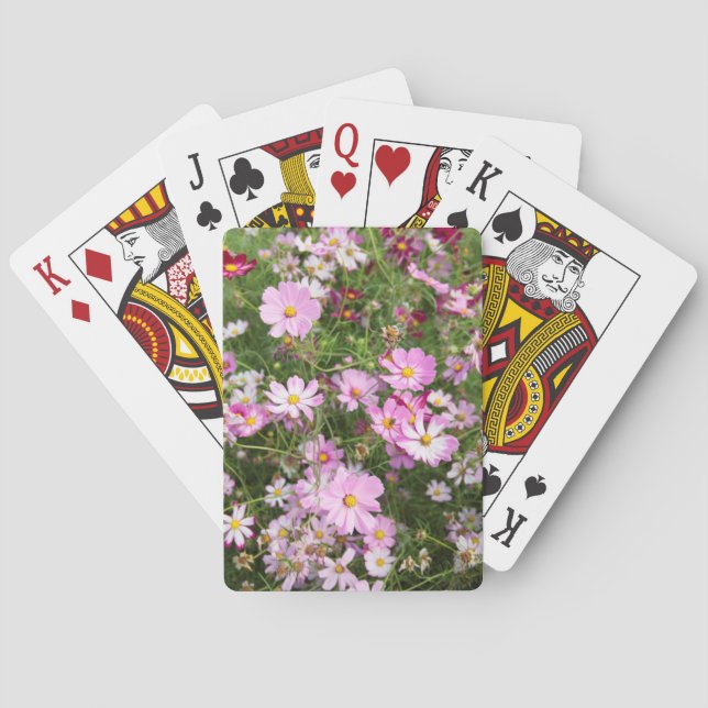 Cosmos Flower (Bidens Formosa). Kirkwood Playing Cards (Back)
