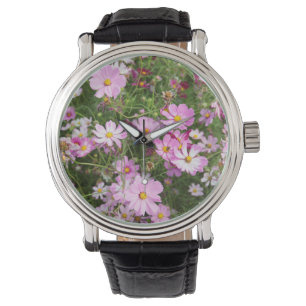 Cosmos Flower (Bidens Formosa). Kirkwood Watch