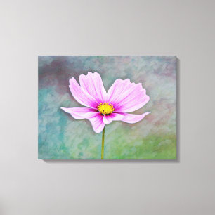 Cosmos Flower in Pink Photographic Art Canvas Print