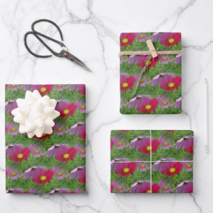 Cosmos Flower Nature Pattern Wrapping Paper Sheet