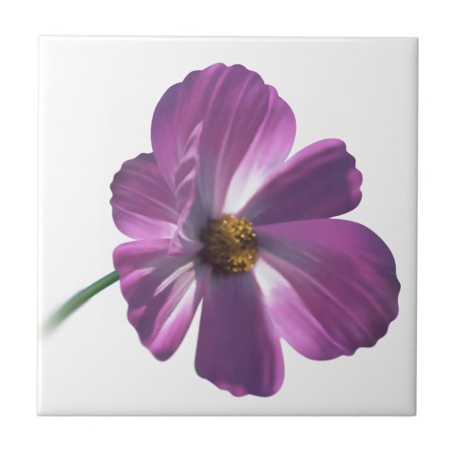 Cosmos Flower Tile (Front)