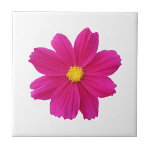 Cosmos Flower Tile