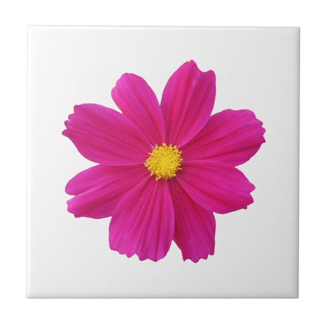 Cosmos Flower Tile (Front)