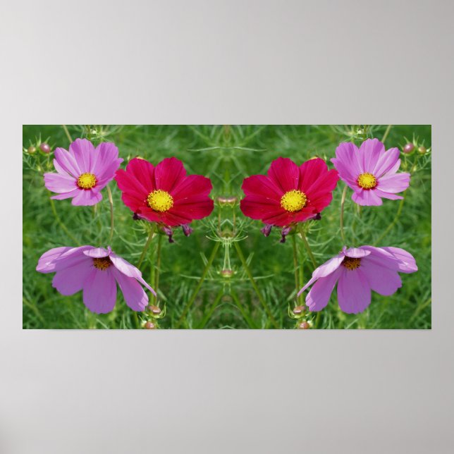 Cosmos Flower Trio Mirror Abstract Poster (Front)